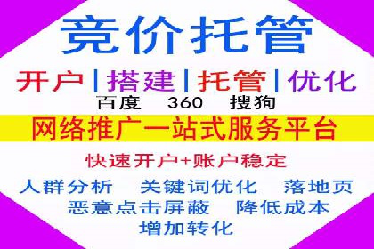 某电商平台的SEM推广策略全解析
